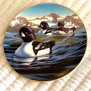 Heading Out: Barrow’s Goldeneyes Vintage Collectors Plate